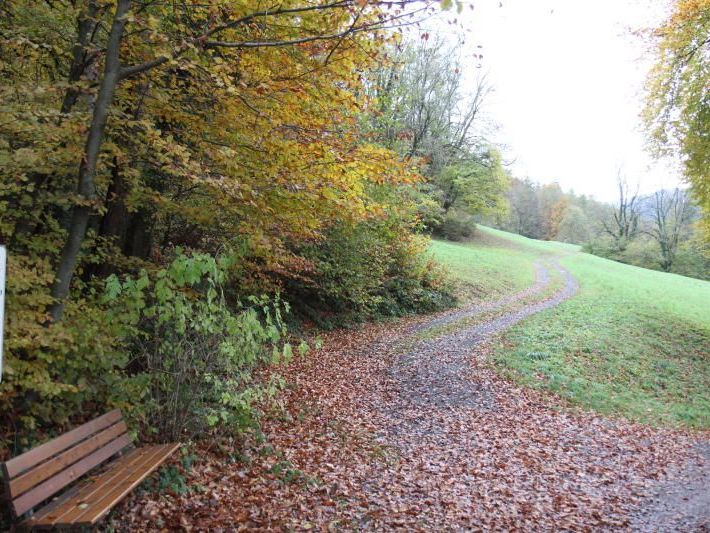 Naturjuwel "Tschütsch" soll erhalten bleiben. Naturjuwel "Tschütsch" soll erhalten bleiben.