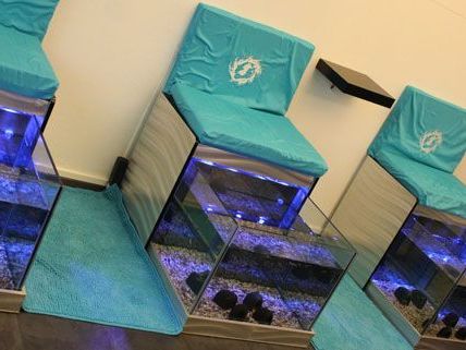 Saman Hassani hat in seinem Fischpediküresalon rund 600 Mitarbeiter und Mitarbeiterinnen. Saman Hassani hat in seinem Fischpediküresalon rund 600 Mitarbeiter und Mitarbeiterinnen.