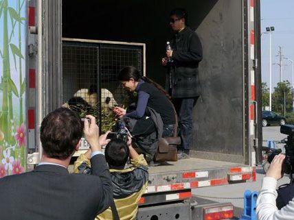 Fu Hu wurde bei seiner Ankunft in China von den Medien begrüßt. Fu Hu wurde bei seiner Ankunft in China von den Medien begrüßt.