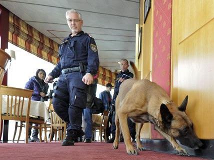 Am Mittwoch trainierten die Drogenhunde der Wiener Polizei in einer Höhe von 170 Metern.