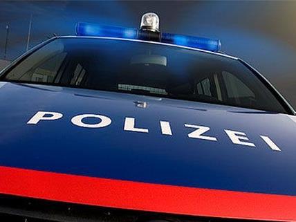 Ein 23-Jähriger wurde nach versuchten Autoeinbrüchen in Wien-Favoriten festgenommen.