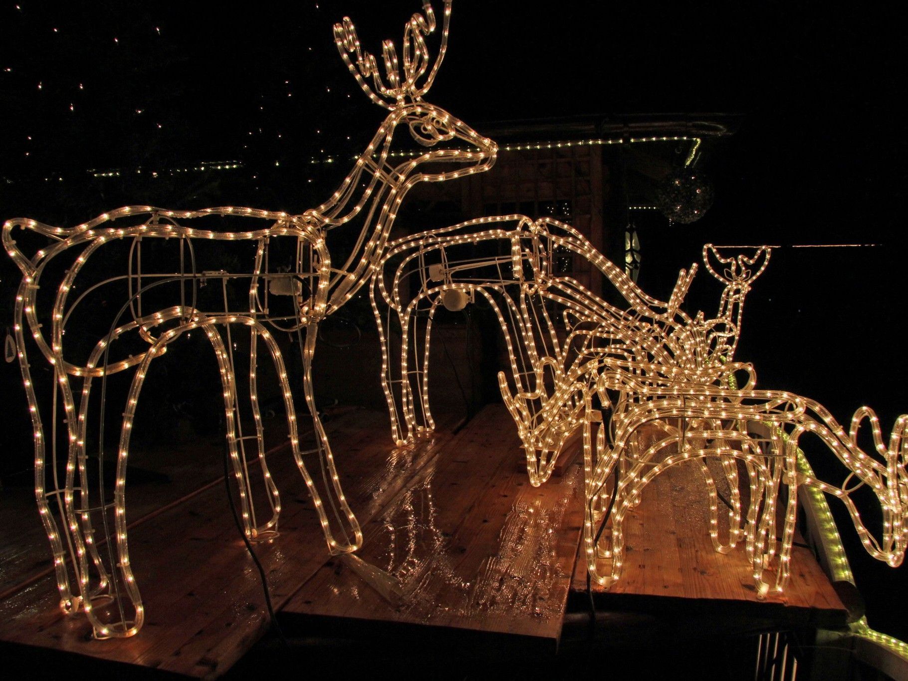 Weihnachtsbeleuchtung von Elmar Wieland in Rankweil Weihnachtsbeleuchtung von Elmar Wieland in Rankweil