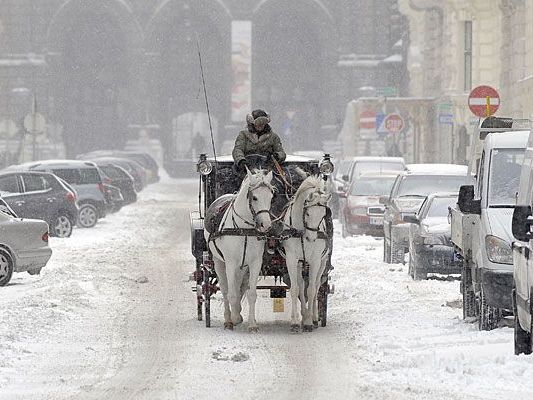 Blühen uns weiße Weihnachten in Wien? Blühen uns weiße Weihnachten in Wien?