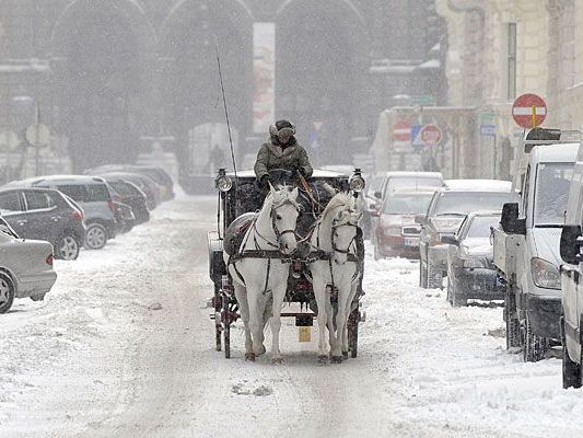 Blühen uns weiße Weihnachten in Wien?