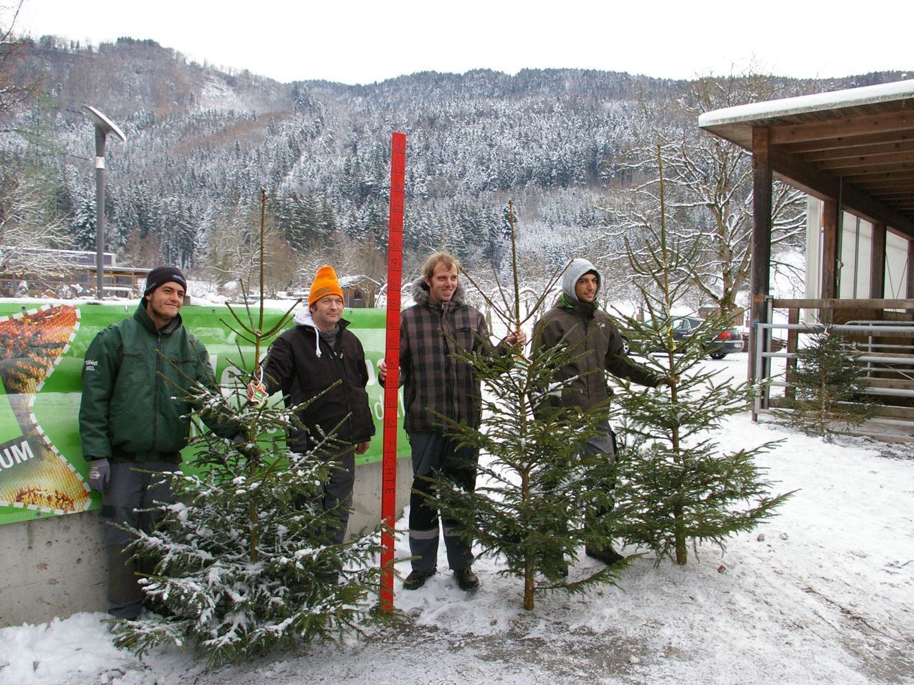Am Sunnahof werden nur echte „Ländle Christbäume“ aus der Region verkauft. Das Sunnahof-Team ist für den Ansturm gerüstet. Am Sunnahof werden nur echte „Ländle Christbäume“ aus der Region verkauft. Das Sunnahof-Team ist für den Ansturm gerüstet.