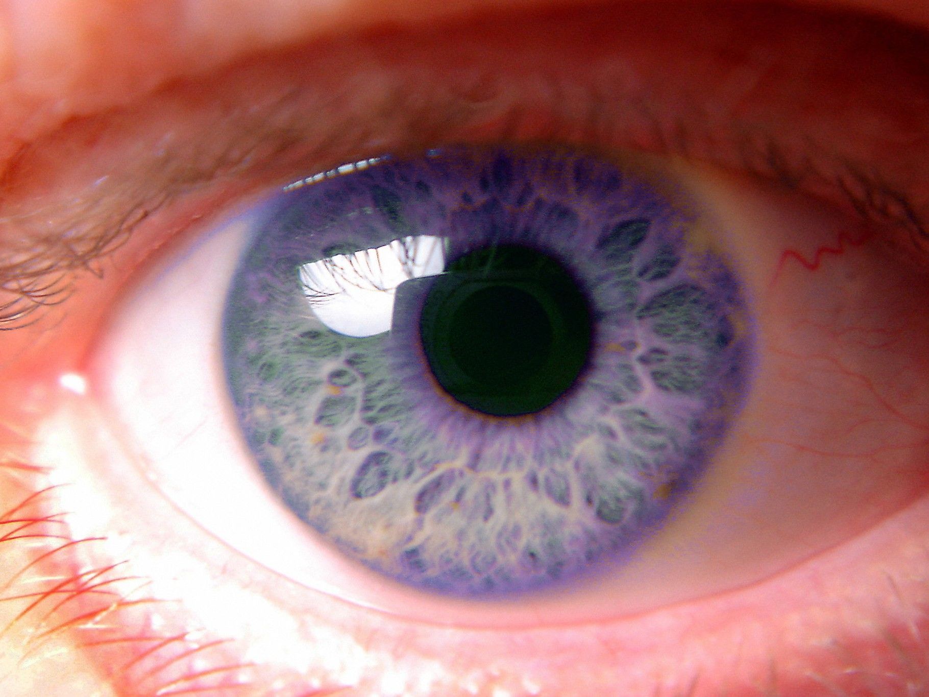 "Terminator-Augen" entwickelt. "Terminator-Augen" entwickelt.