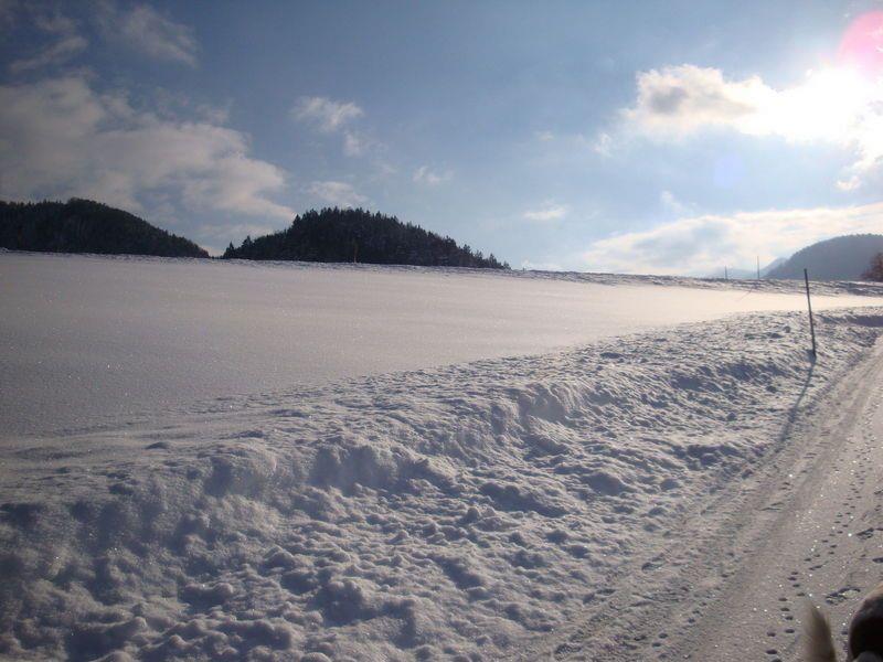 Eine traumhafte Winterkulisse bot sich am Mittwoch in Ebenau (Flachgau).