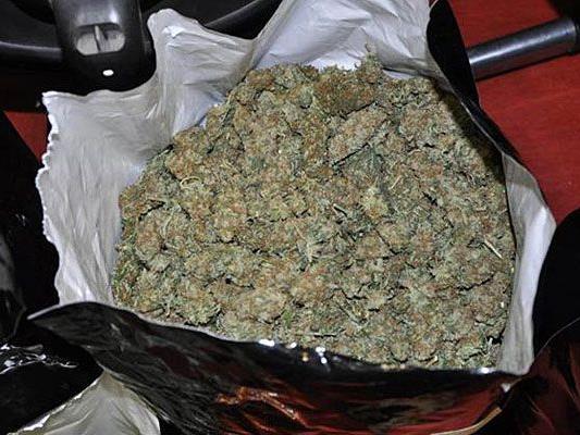 Kiloweise Cannabiskraut wurde bei dem mutmaßlichen Drogenhändler sichergestellt