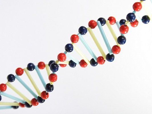 Dem biologischen Speicher gehört die Zukunft. Dem biologischen Speicher gehört die Zukunft.