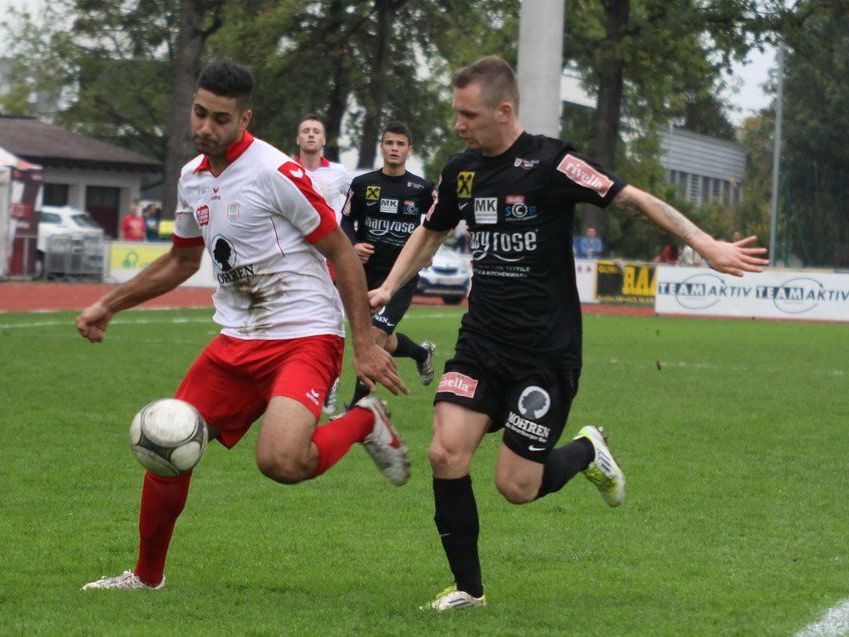 Die Größe und der Modus über die Regionalliga soll bis Ende Februar beschlossen werden. Die Größe und der Modus über die Regionalliga soll bis Ende Februar beschlossen werden.