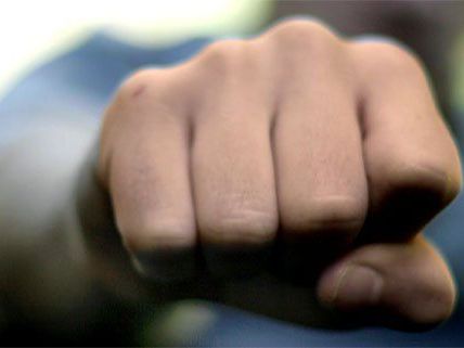 Mit Fäusten ging ein Randalierer in Alsergrund auf Polizisten los Mit Fäusten ging ein Randalierer in Alsergrund auf Polizisten los