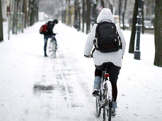 Viele Radfahrer in Wien lassen sich auch von Kälte und Schnee nicht von ihrem liebsten Transportmittel abbringen