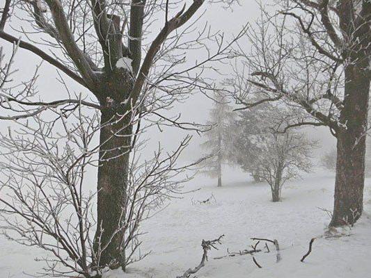 Das malerische Gelände am Steinhof verschwindet derzeit im Schnee