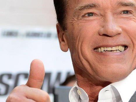 Am Mittwoch hat Arnold Schwarzenegger gleich mehrere öffentliche Termine in Wien.