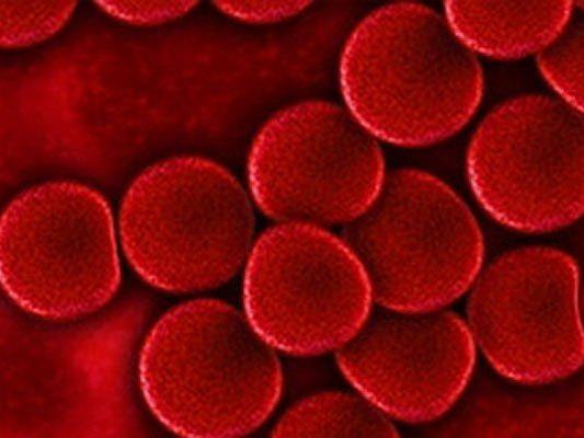 Blutzellen: mit neuem Gerät leicht zu testen.