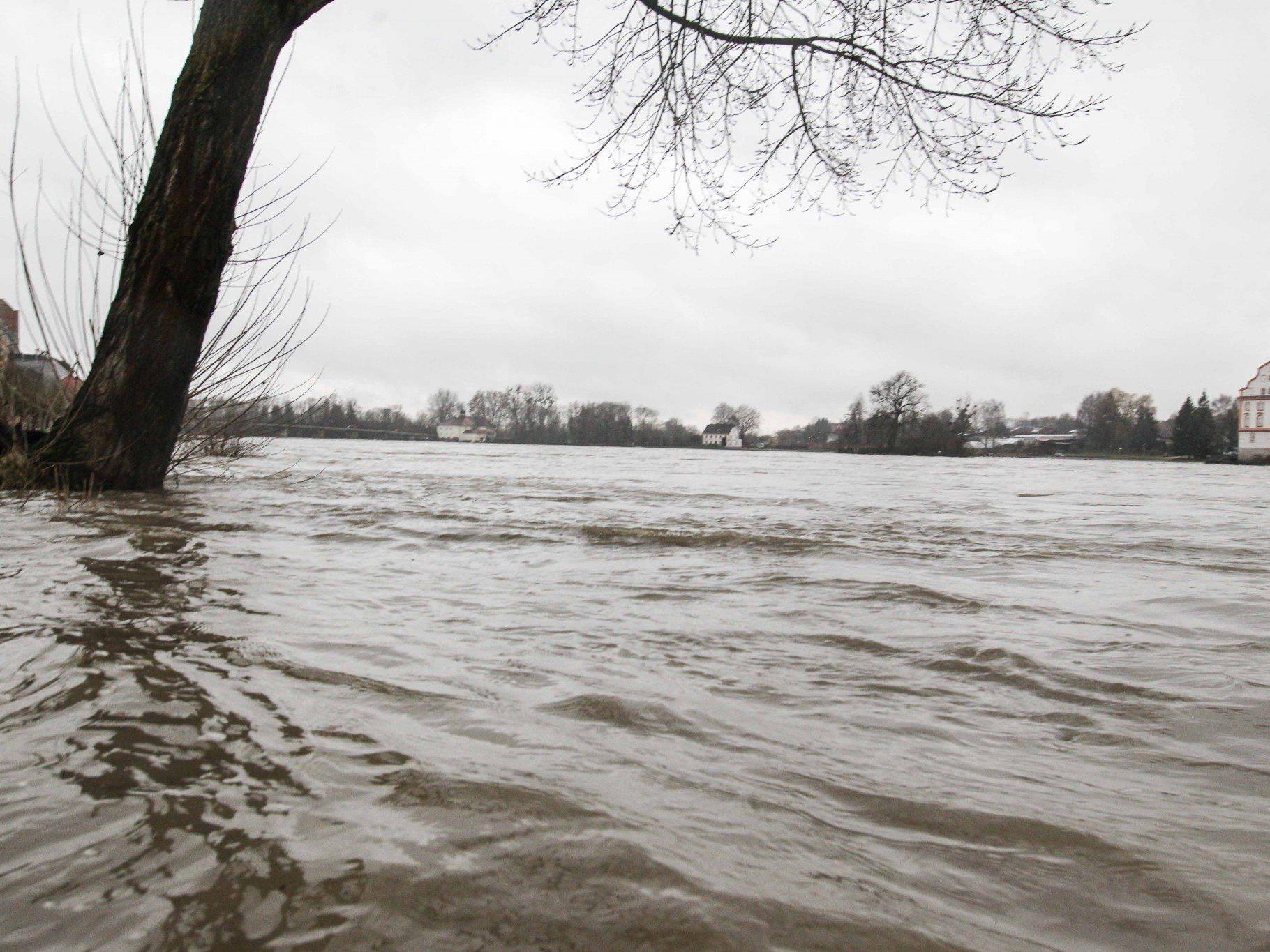 Wiesen und Straßen waren vielerorts überflutet. Im Bild: Eine überflutete Wiese in Schärding (OÖ).