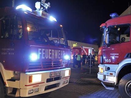 Die Feuerwehr in Niederösterreich musste in den frühen Morgenstunden ausrücken.