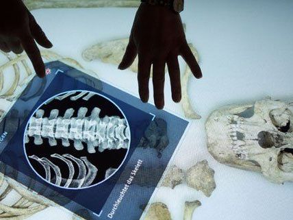Der "CSI-Tisch" gilt als Highlight der neuen Anthropologie-Säle. Der "CSI-Tisch" gilt als Highlight der neuen Anthropologie-Säle.