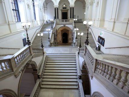 Studenten als Lehrer: Uni Wien will zum Abschluss anspornen Studenten als Lehrer: Uni Wien will zum Abschluss anspornen
