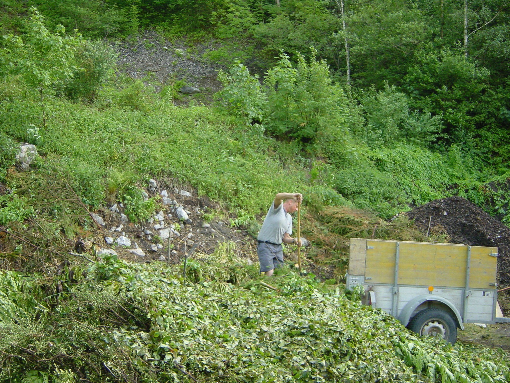 Der Grünmüll kann ab dem 16. März wieder in der Grünmülldeponie Unterstein und in der Bingser Au abgegeben werden. Der Grünmüll kann ab dem 16. März wieder in der Grünmülldeponie Unterstein und in der Bingser Au abgegeben werden.