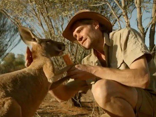 "Brolga" hat es sich zur Aufgabe gemacht Känguru-Babys zu retten.