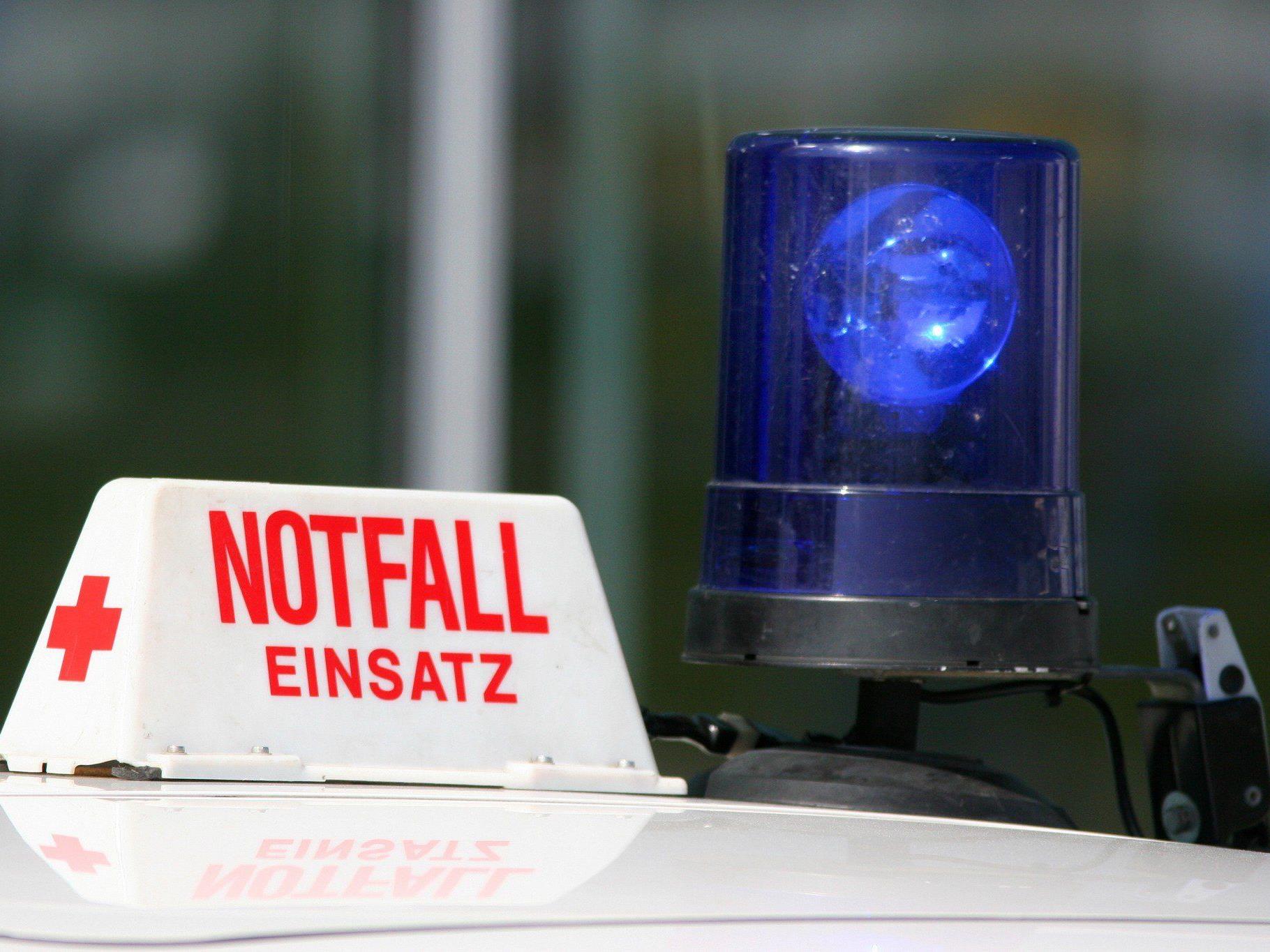Der 31-jährige Salzburger und ein 22-jähriger Niederösterreicher wurden bei dem Unfall unbestimmten Grades verletzt.