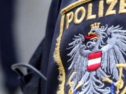 Wienerin verirrte sich im Wald: Suchation der Polizei Wienerin verirrte sich im Wald: Suchation der Polizei