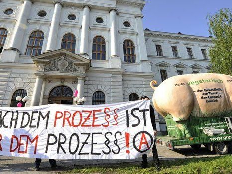 Vor einer Änderung des Mafia-Paragrafen möchte man auf das Urteil im Tierschützerprozess warten. Vor einer Änderung des Mafia-Paragrafen möchte man auf das Urteil im Tierschützerprozess warten.