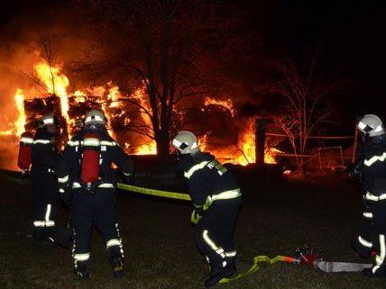 Die Feuerwehr kann Brandstiftung in Wiener Neudorf nicht ausschließen.