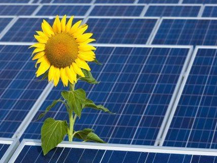 Mit Äußerungen zu den Bürgersolarkraftwerken sorgte Wien Energie am Montag für Wirbel. Mit Äußerungen zu den Bürgersolarkraftwerken sorgte Wien Energie am Montag für Wirbel.