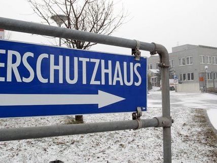 Noch immer wurde kein neuer Standort für das Wiener Tierschutzhaus festgelegt. Noch immer wurde kein neuer Standort für das Wiener Tierschutzhaus festgelegt.