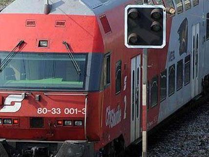 Ein Wiener wurde in der Steiermark von einem Zug erfasst.