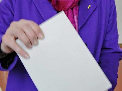 Tirol-Wahl: Agrar-Rückübertragungsgesetz scheiterte an Van Staa Tirol-Wahl: Agrar-Rückübertragungsgesetz scheiterte an Van Staa