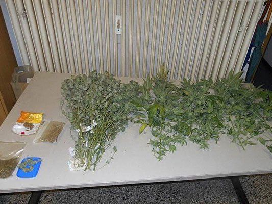 Diese Cannabis-Produkte fand man in der Wohnung in der Linzer Straße Diese Cannabis-Produkte fand man in der Wohnung in der Linzer Straße