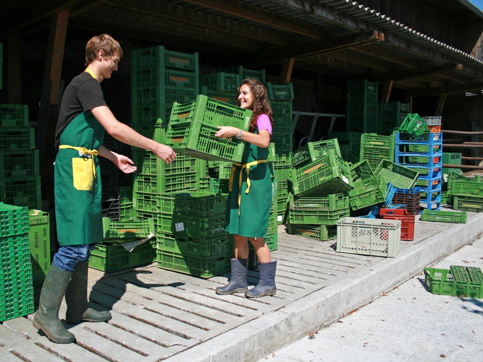 Unternehmen sind aufgerufen, freie Ferienjobs und Lehrstellen im aha zu melden. Unternehmen sind aufgerufen, freie Ferienjobs und Lehrstellen im aha zu melden.