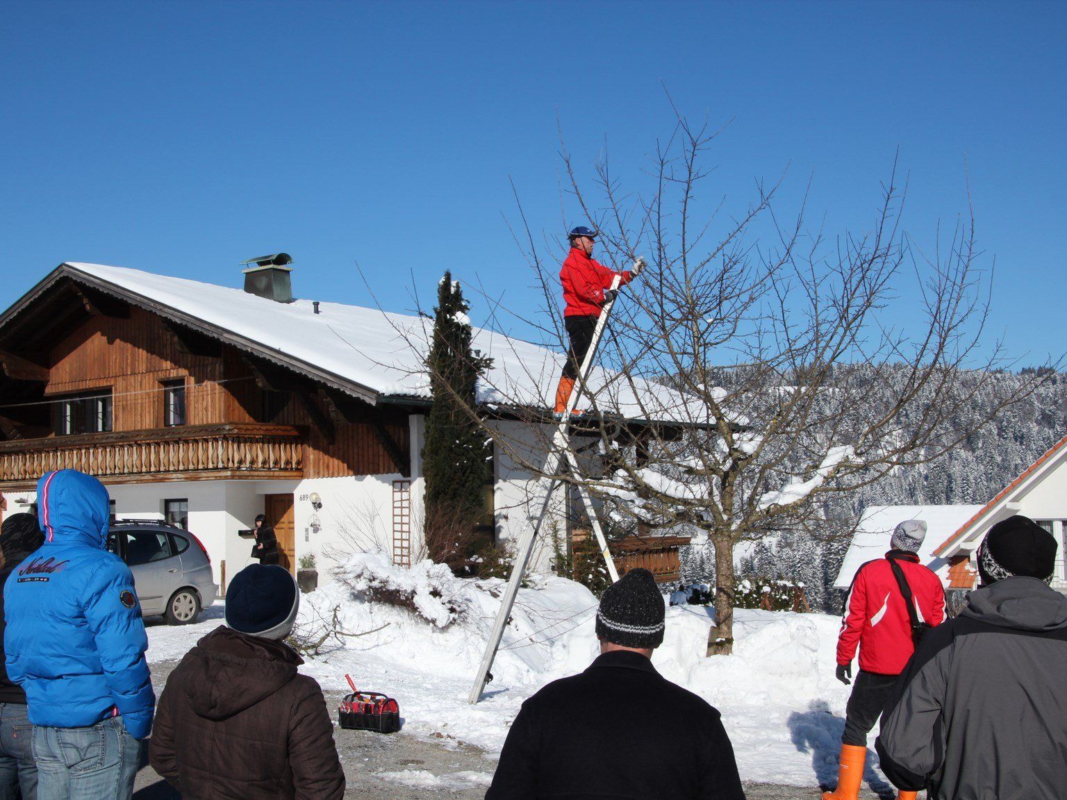 Baum- u. Beerensträucherschnittkurs Baum- u. Beerensträucherschnittkurs