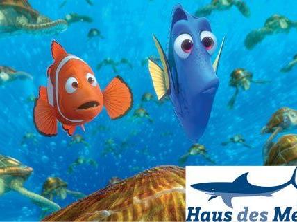 Vienna.at verlost Tickets für das Haus des Meeres und 3 DVD's und Blu-rays von Findet Nemo