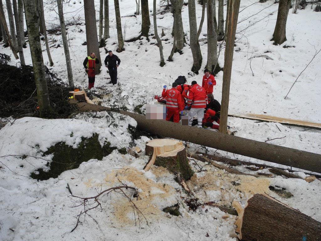 Forstarbeiter nach Unfall im Gemeindegebiet von Nenzing lebensbedrohlich verletzt.