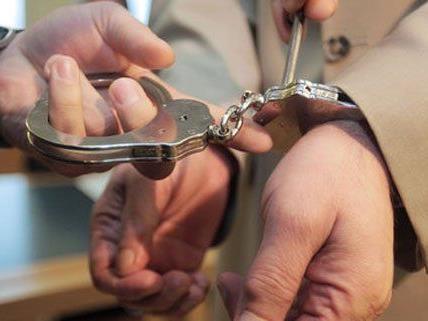 Drei mutmaßliche Einbrecher wurden im Bezirk Baden festgenommen.