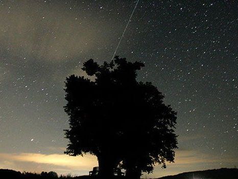 Im März wird ein Komet über Österreich sichtbar sein. Im März wird ein Komet über Österreich sichtbar sein.
