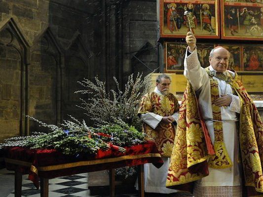 Kardinal Christoph Schönborn während der Palmweihe im Wiener Stephansdom