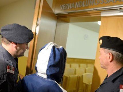 Die Frau muss sich nun in Wien vor Gericht verantworten. Die Frau muss sich nun in Wien vor Gericht verantworten.