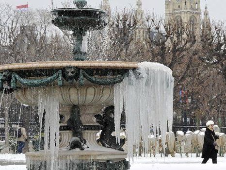 Das Winterwetter kann der künftigen Blütenpracht in Wien nichts anhaben, so die Stadtgärtner.