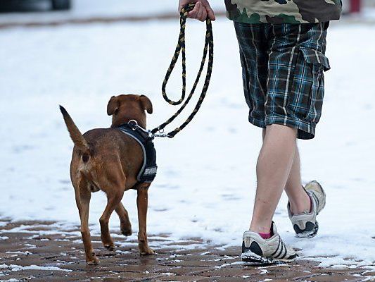 Nicht immer sind Hund und Mensch beste Freunde Nicht immer sind Hund und Mensch beste Freunde