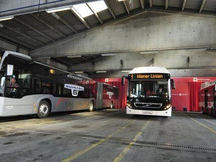 Neue umweltfreundliche Busse für ganz Wien