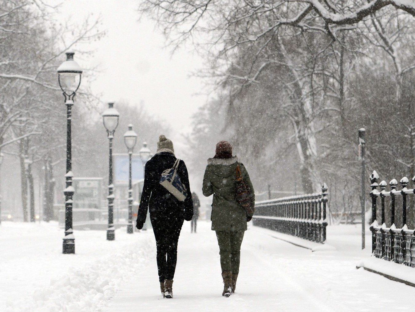 Auch nach Frühlingsbeginn bleibt es in Wien frostig. Schnee und Kälte werden auch in den kommenden Tagen erwartet. Auch nach Frühlingsbeginn bleibt es in Wien frostig. Schnee und Kälte werden auch in den kommenden Tagen erwartet.