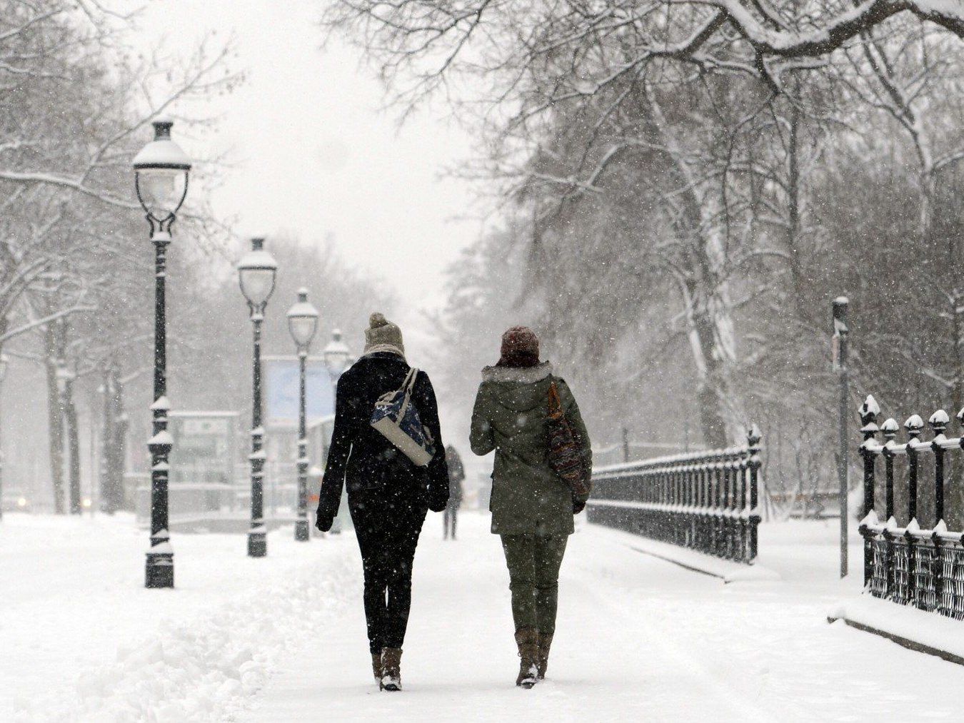 Auch nach Frühlingsbeginn bleibt es in Wien frostig. Schnee und Kälte werden auch in den kommenden Tagen erwartet.