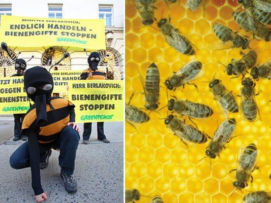 Greenpeace-Aktivisten demonstrierten vor dem Umweltministerium in Wien für Bienen