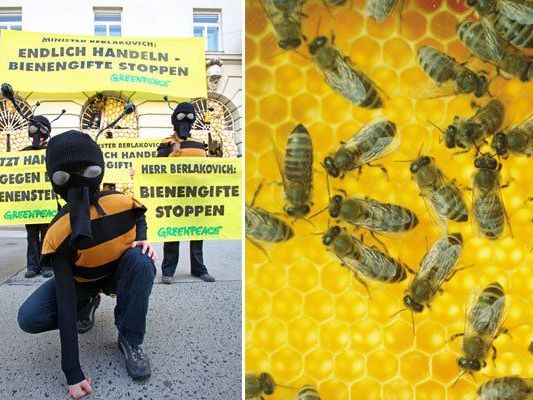 Greenpeace-Aktivisten demonstrierten vor dem Umweltministerium in Wien für Bienen Greenpeace-Aktivisten demonstrierten vor dem Umweltministerium in Wien für Bienen