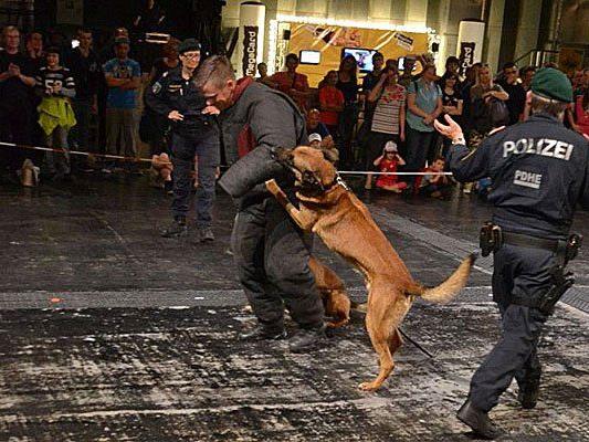 Polizeihunde zeigten beim Day of Contact ihr Können